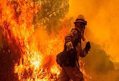 Special Petitions for the Victims of the California Wildfires